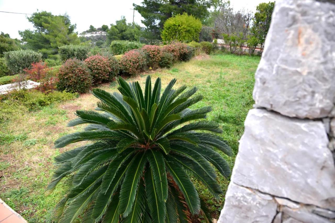 Vila Amalia Theologos  Luaran gambar